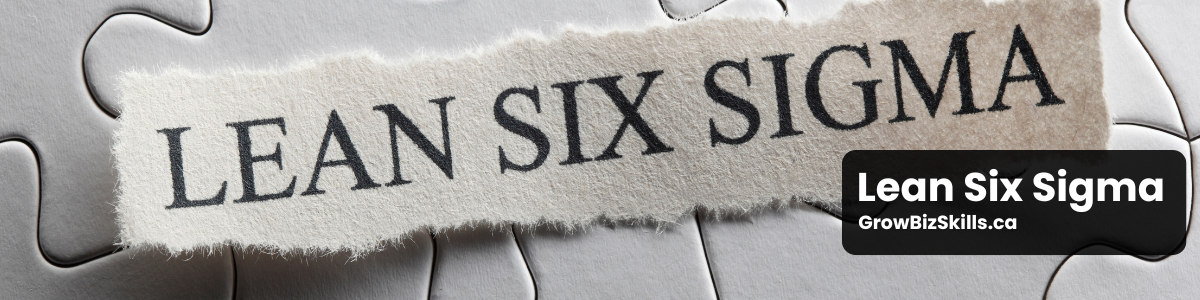 Lean Six Sigma